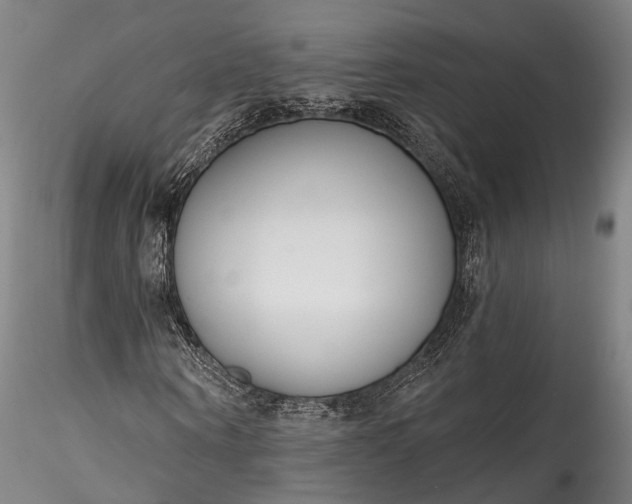 X0000115770866200911271138