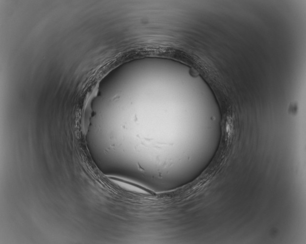 X0000115770867200911271138