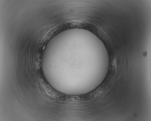 X0000115770868200911271138