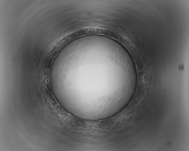 X0000115770870200911271138