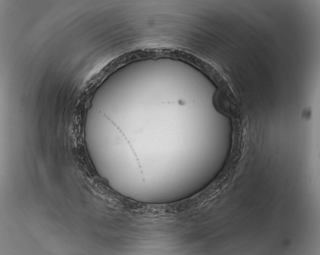 X0000115770871200911271138