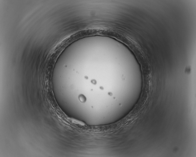 X0000115770872200911271138