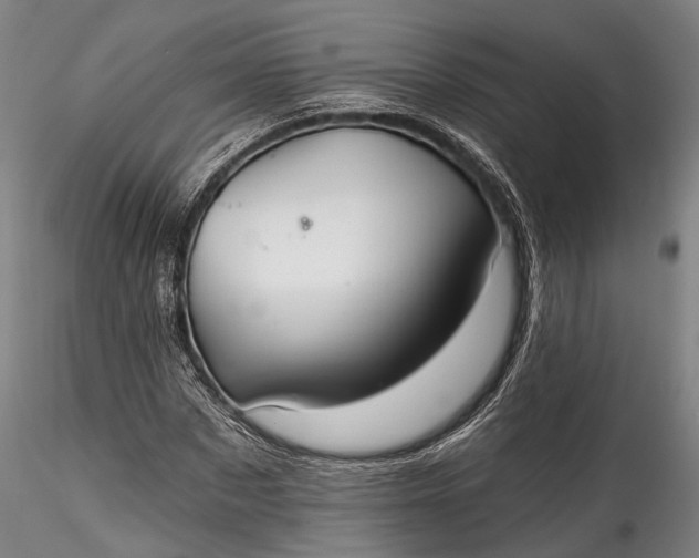 X0000115770873200911271138