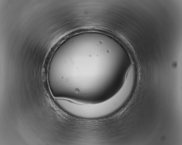 X0000115770876200911271138