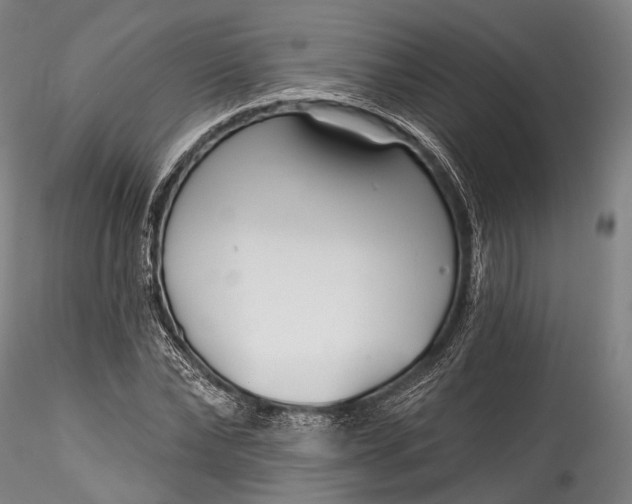 X0000115770878200911271138