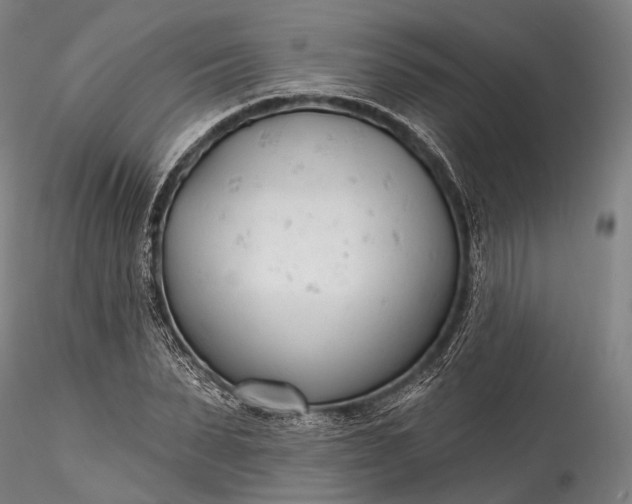 X0000115770879200911271138