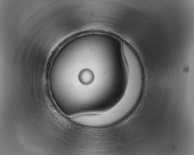 X0000115770880200911271138