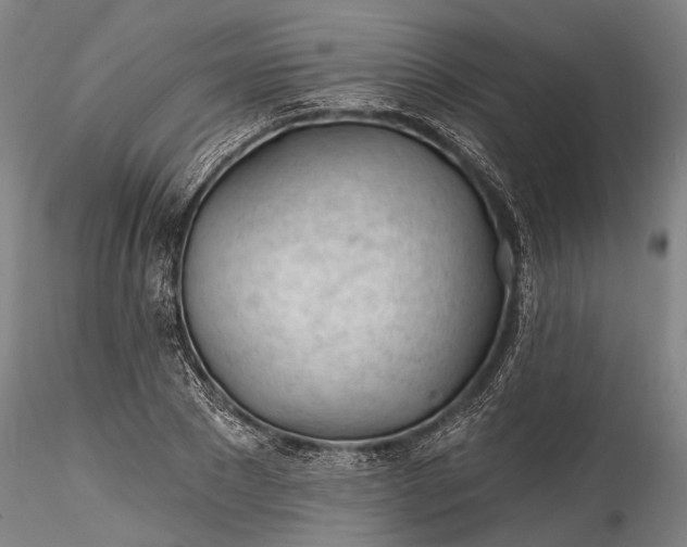 X0000115770881200911271138