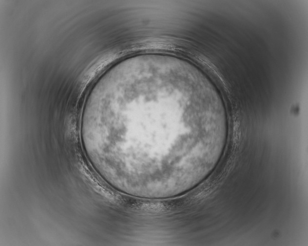 X0000115770882200911271138