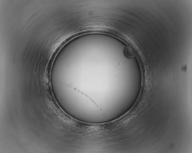 X0000115770883200911271137