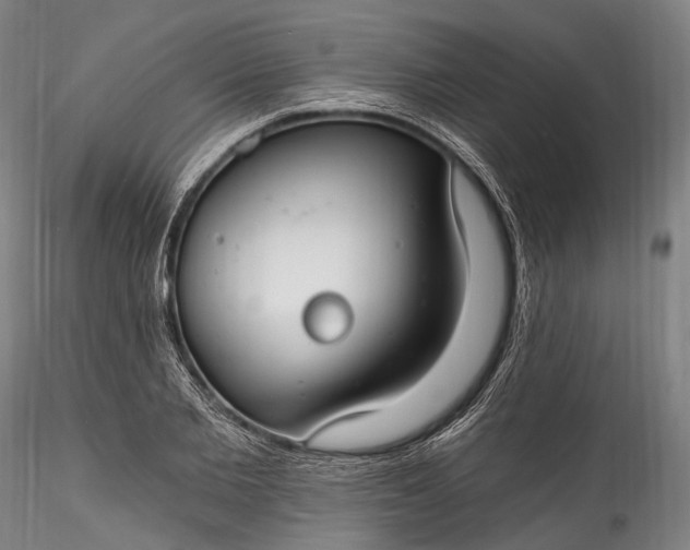 X0000115770885200911271137