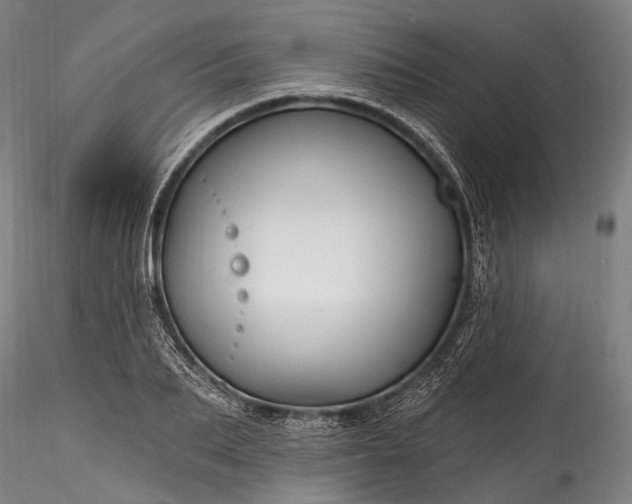 X0000115770887200911271137