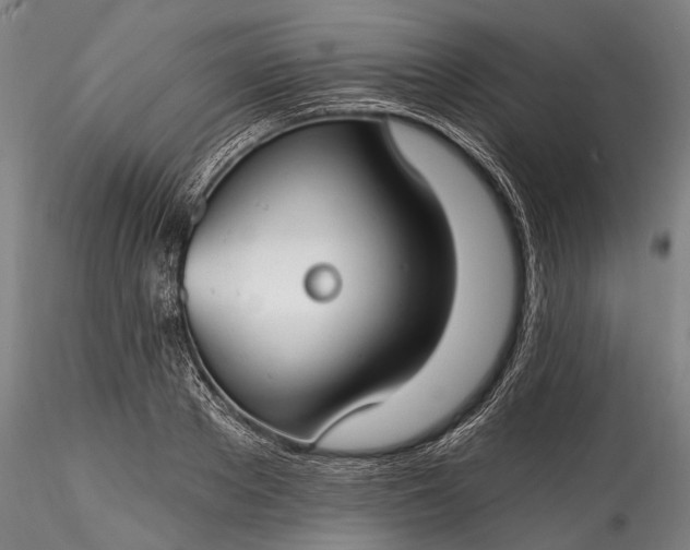 X0000115770889200911271137