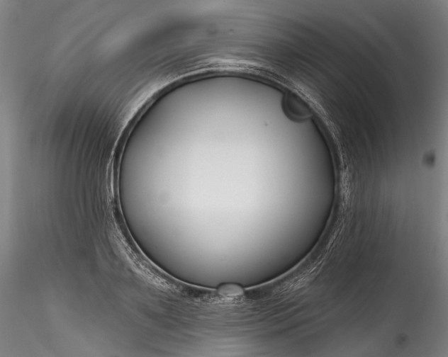 X0000115770891200911271137