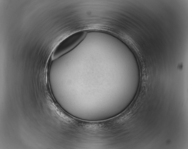 X0000115770892200911271137