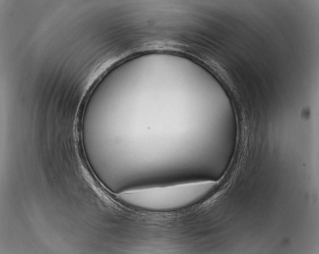 X0000115770893200911271137