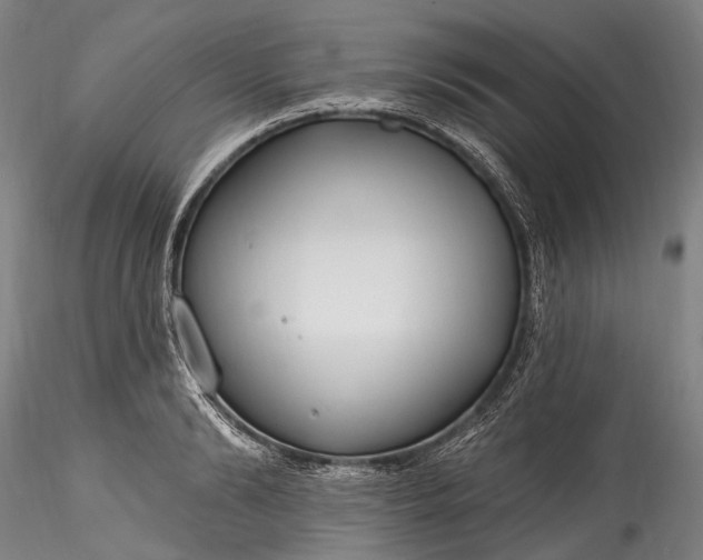 X0000115770894200911271137