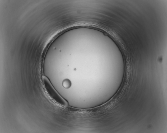 X0000115770896200911271137