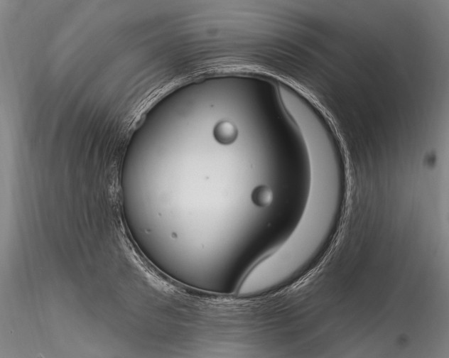 X0000115770897200911271137