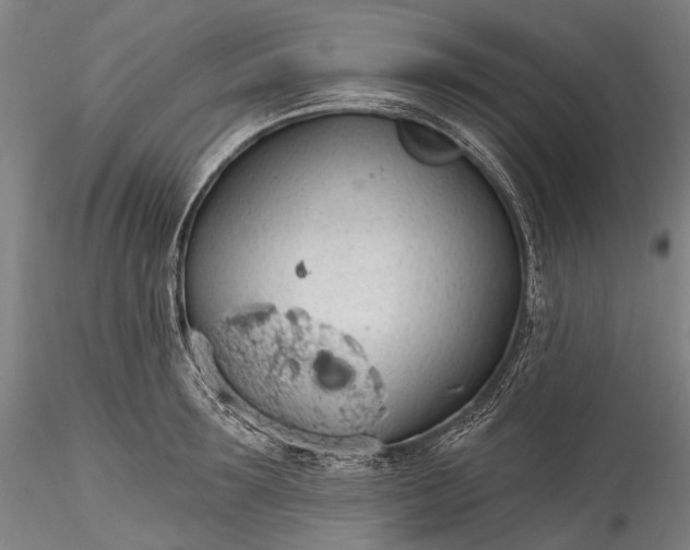 X0000115770899200911271137