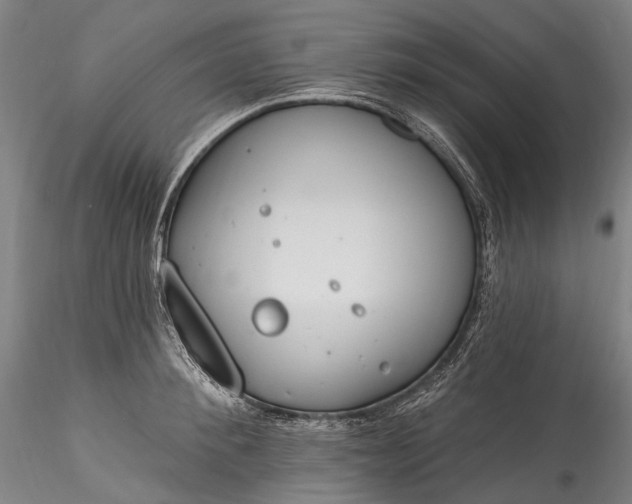 X0000115770900200911271137