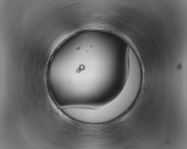 X0000115770901200911271137