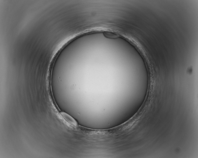 X0000115770902200911271137