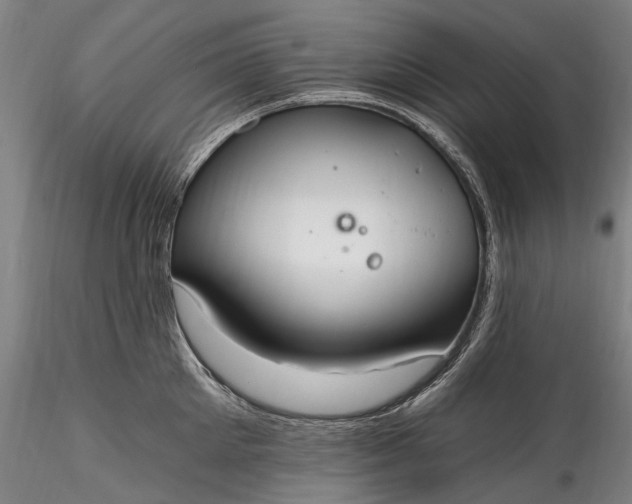 X0000115770905200911271137