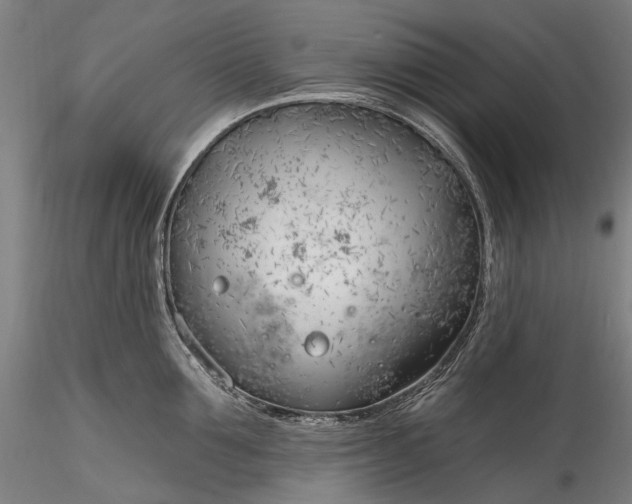 X0000115770907200911271137