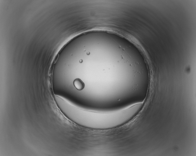 X0000115770908200911271137