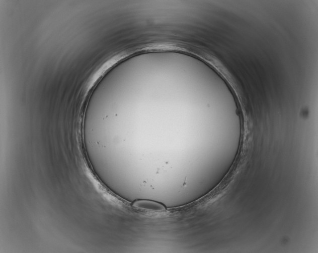 X0000115770909200911271137