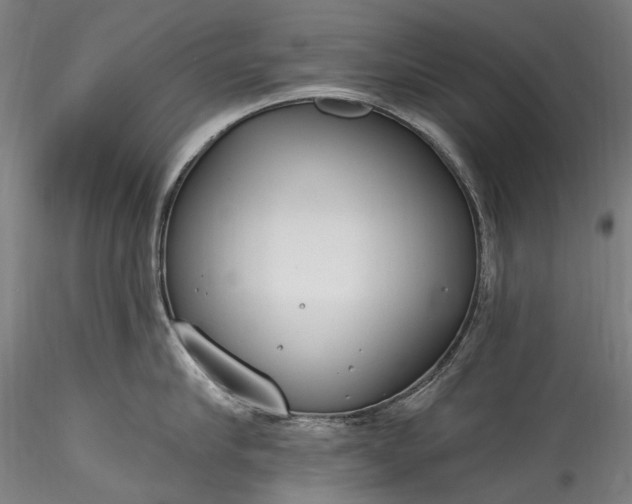 X0000115770910200911271137