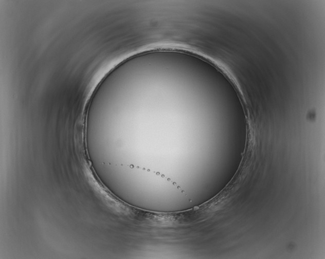 X0000115770911200911271137