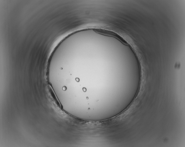 X0000115770912200911271137