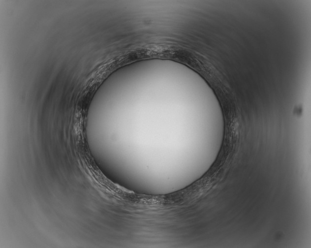 X0000115770914200911271136