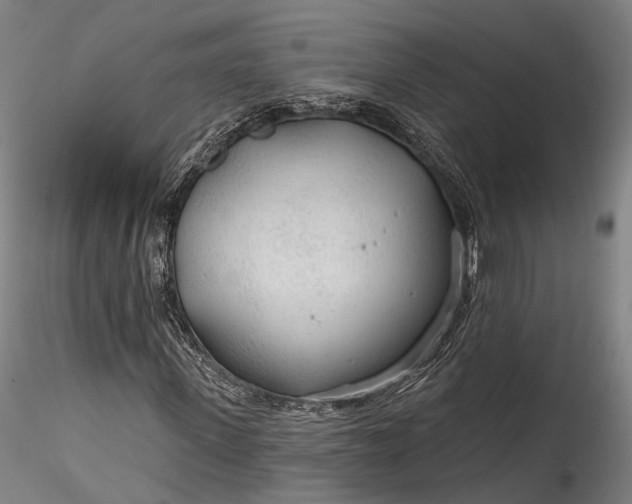 X0000115770915200911271136