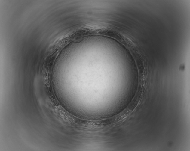 X0000115770917200911271136