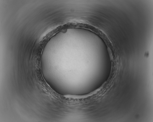 X0000115770919200911271136