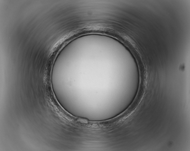 X0000115770922200911271136