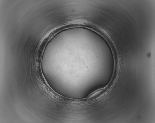 X0000115770923200911271136