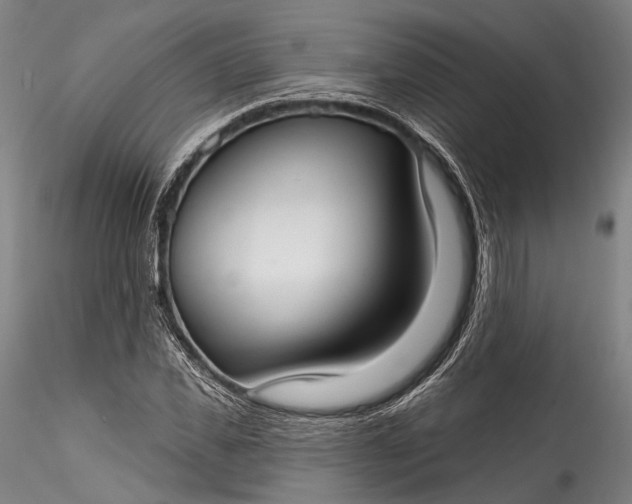 X0000115770925200911271136