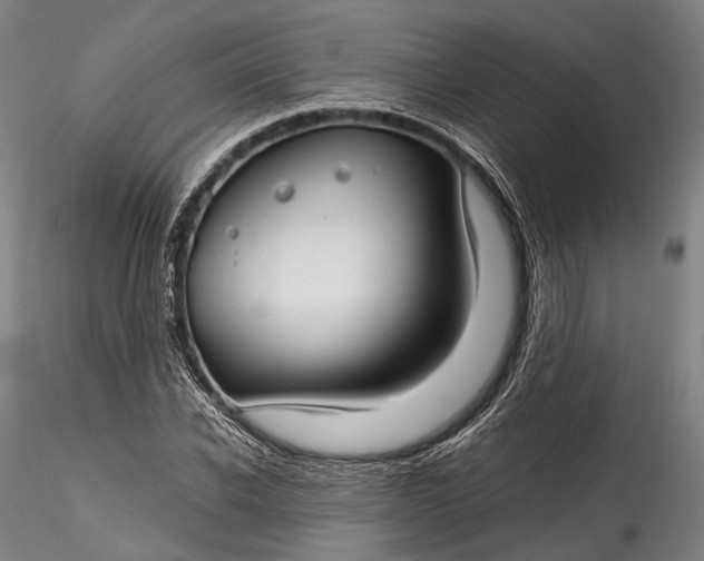 X0000115770926200911271136