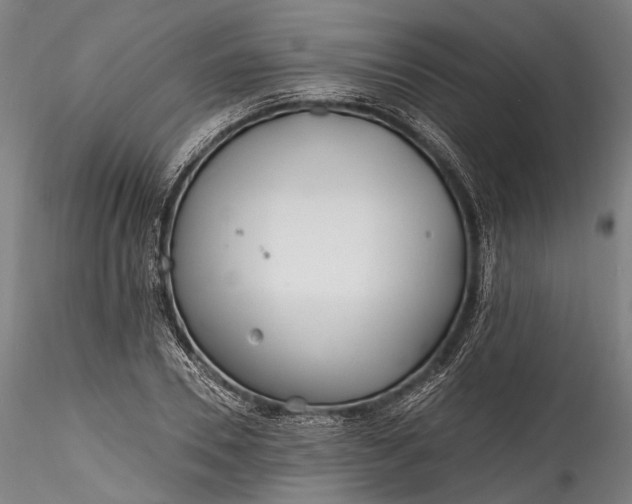 X0000115770930200911271136