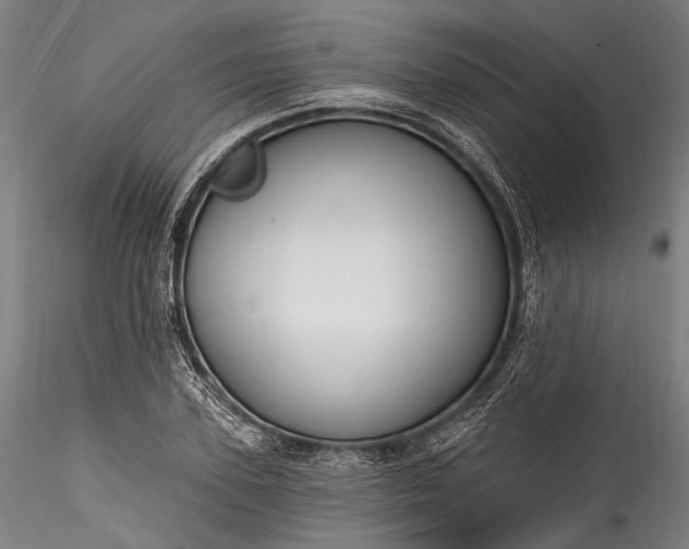 X0000115770931200911271137