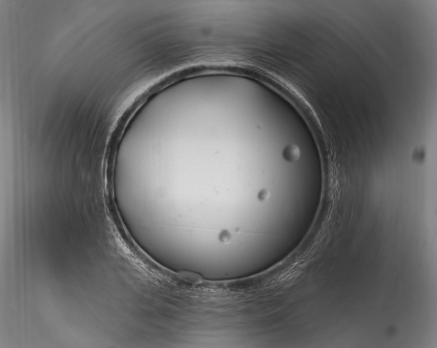 X0000115770935200911271137