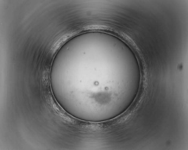 X0000115770937200911271137