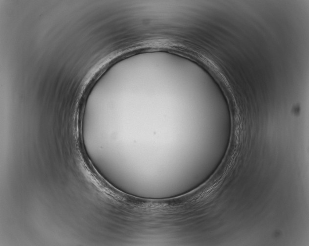 X0000115770939200911271137