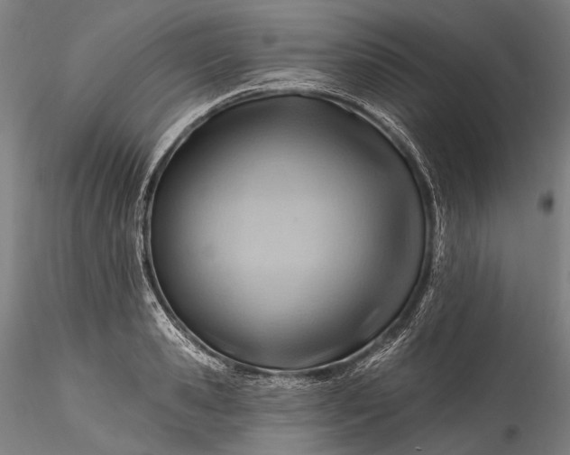 X0000115770941200911271137