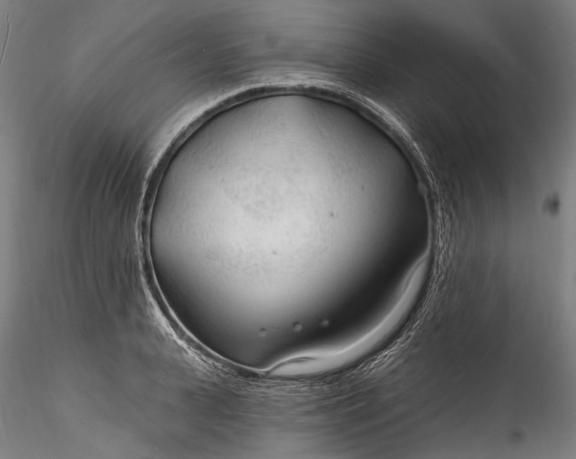 X0000115770943200911271137