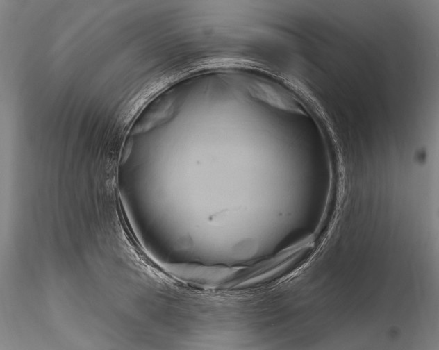 X0000115770945200911271137